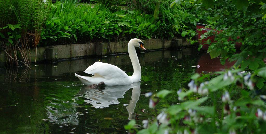 B&B Canal Deluxe Брюгге Екстер'єр фото